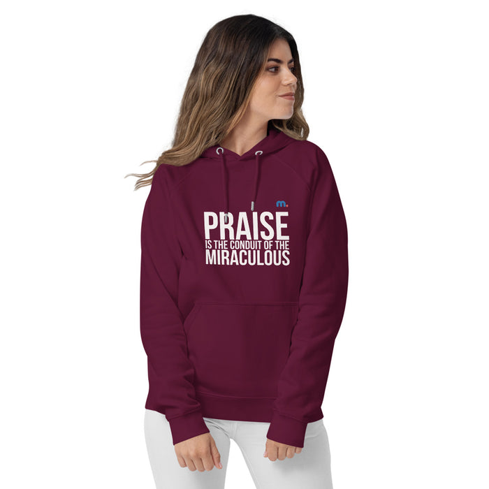 Praise Unisex Eco Raglan Hoodie